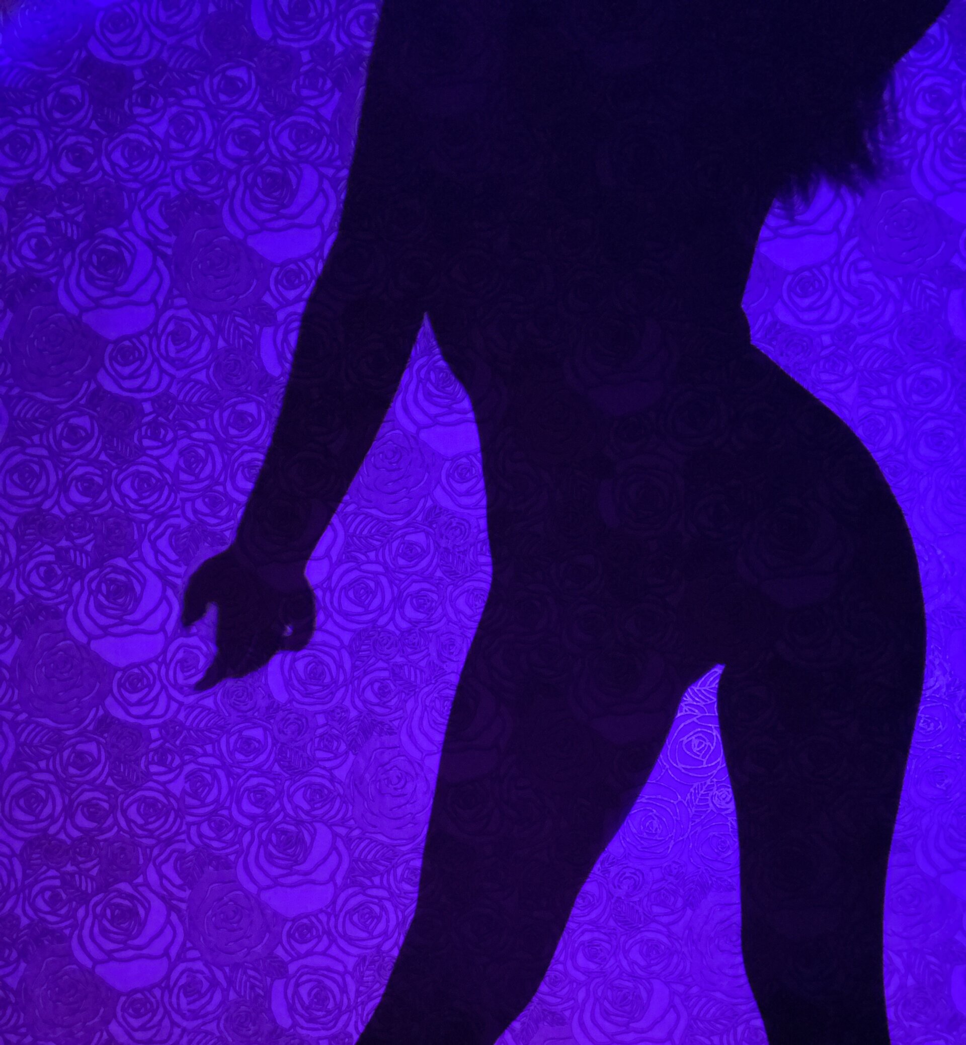 XXX Porn Photo of Nude TaylorDavids 65