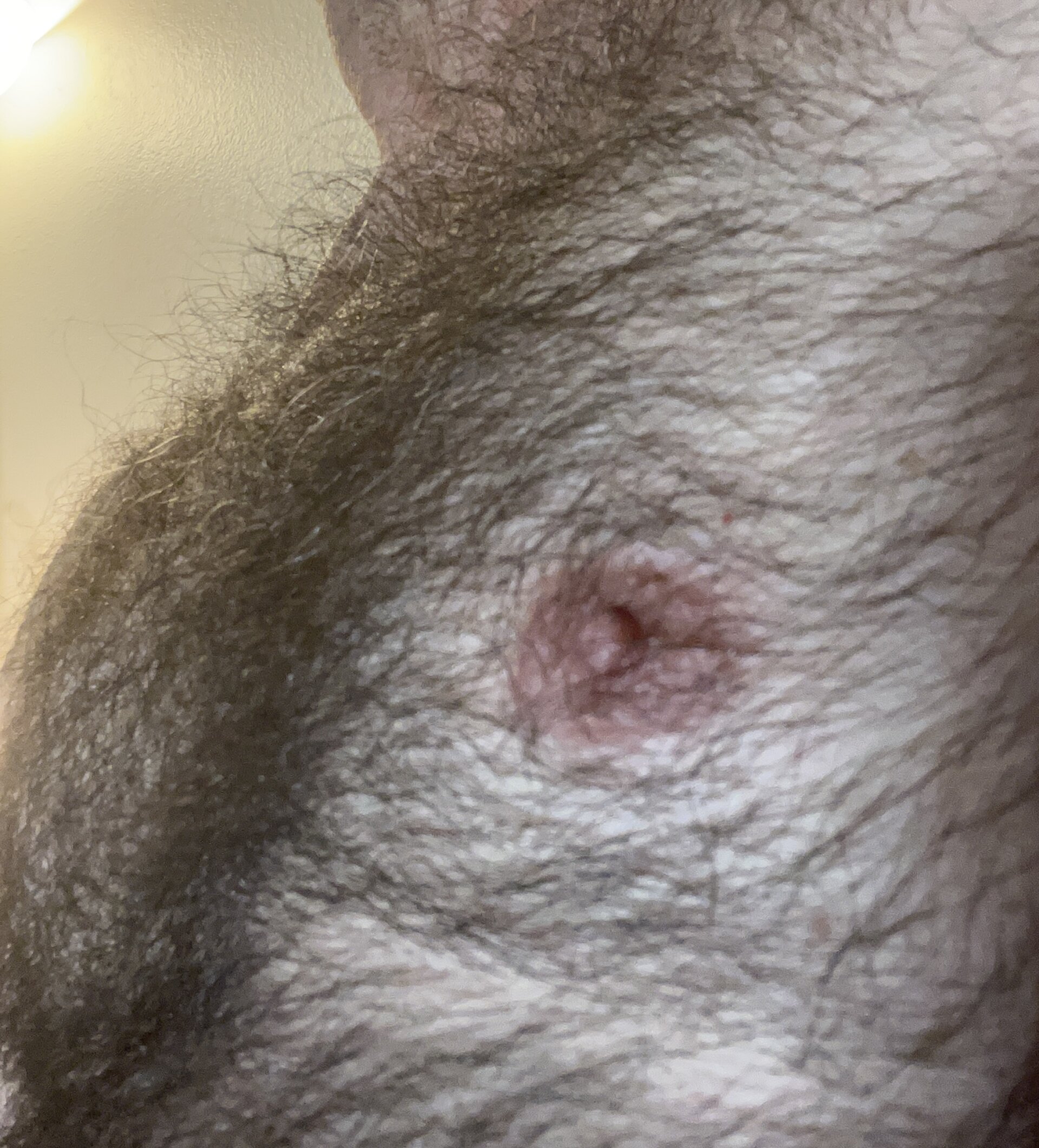 XXX Porn Photo of Nude Trainee2Bpeed 31