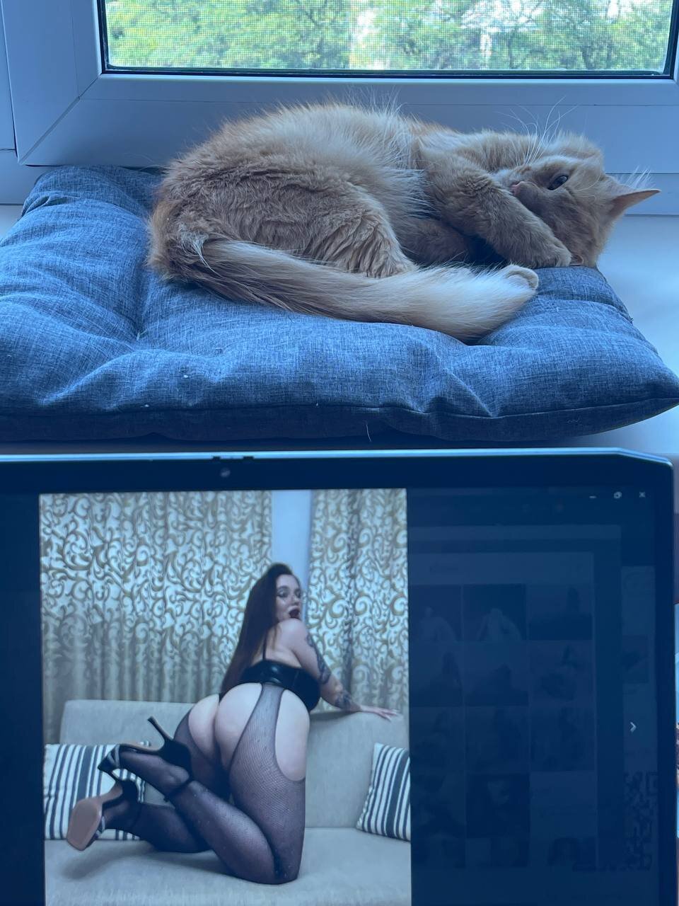 XXX Porn Photo of Nude SugarMuse 321