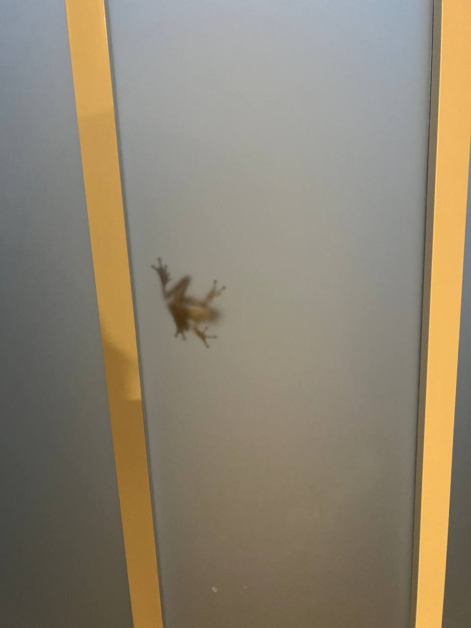 XXX Porn Photo of Nude suglqid 3