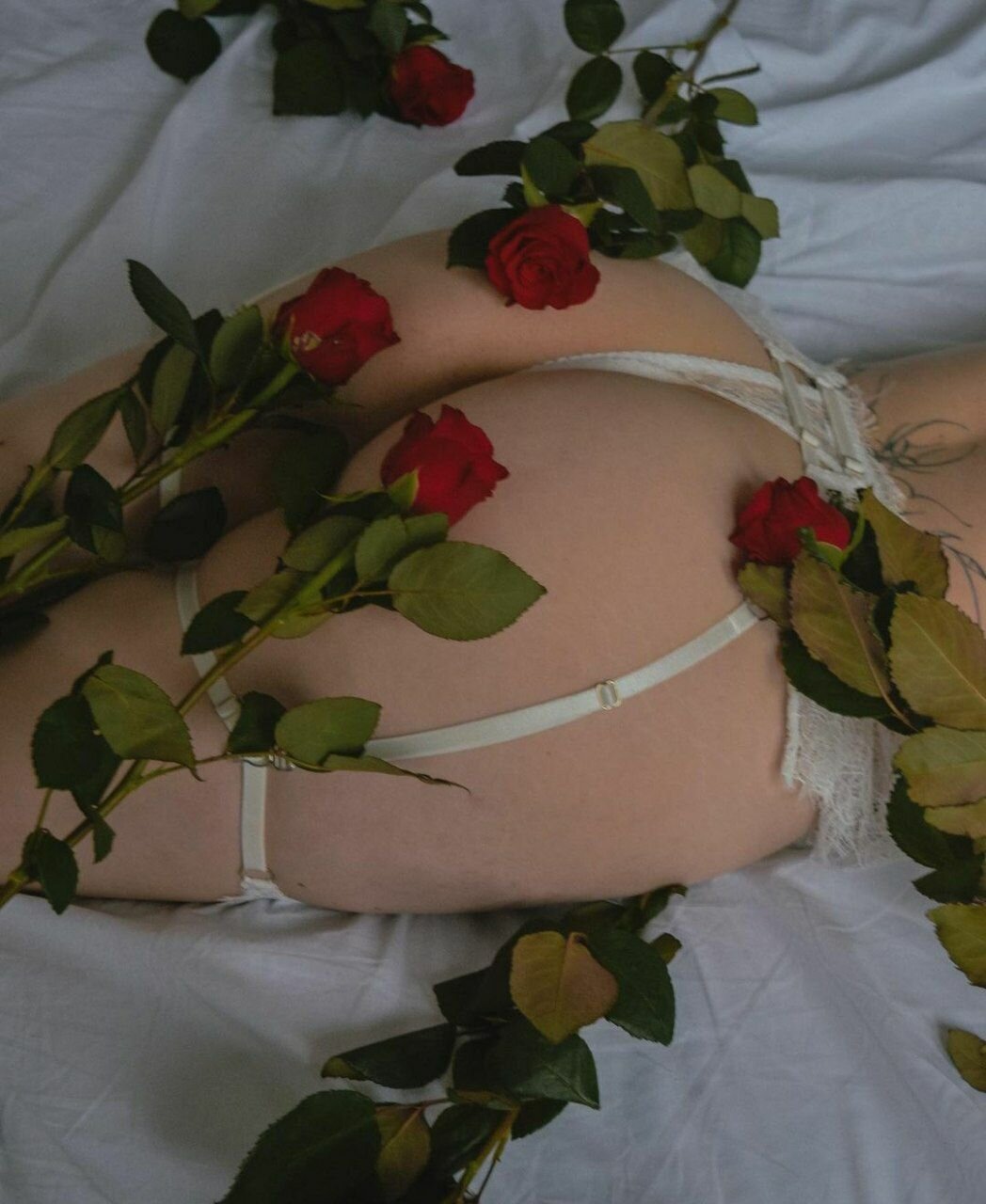 XXX Porn Photo of Nude SugarMuse 4