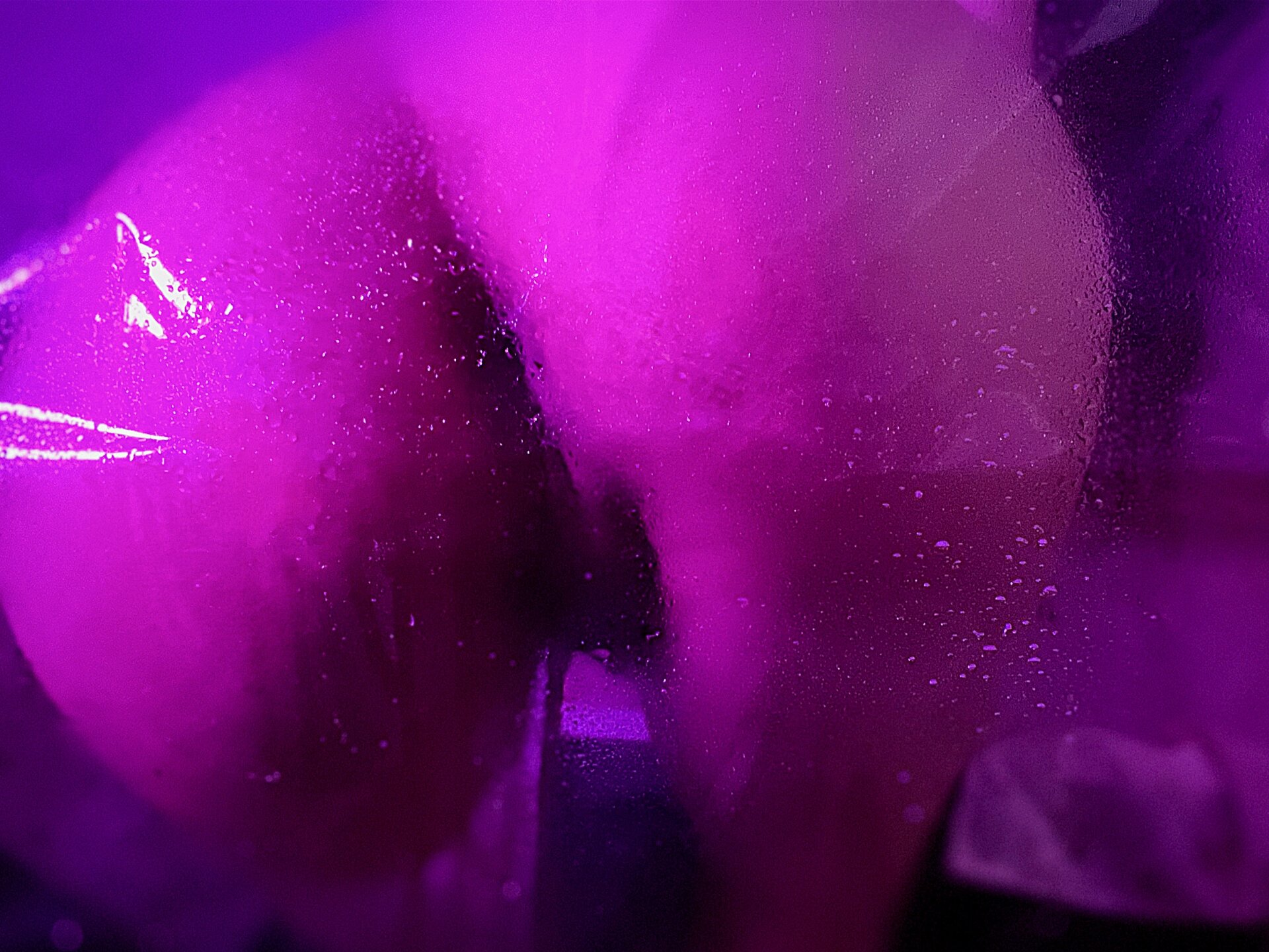 XXX Porn Photo of Nude mollyEXD 21