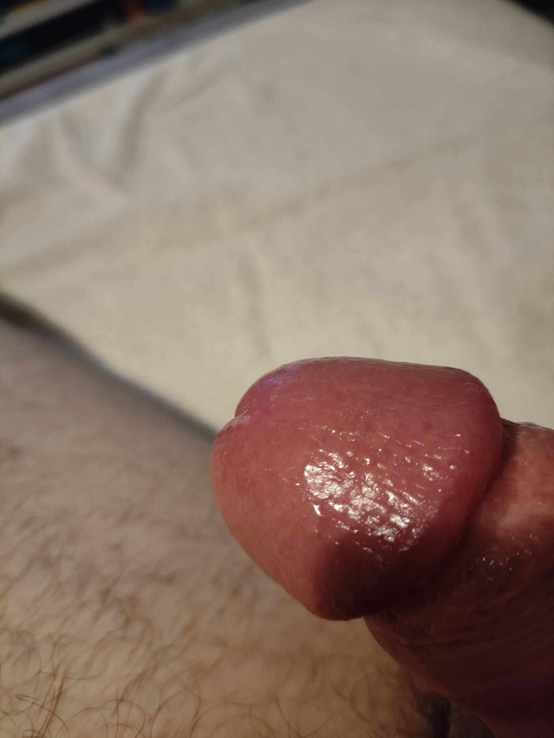 XXX Porn Photo of Nude Butterfly_Strip 2